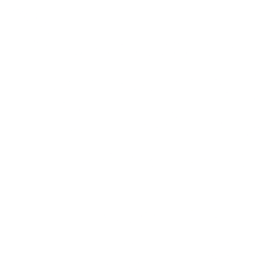 Shop Icon